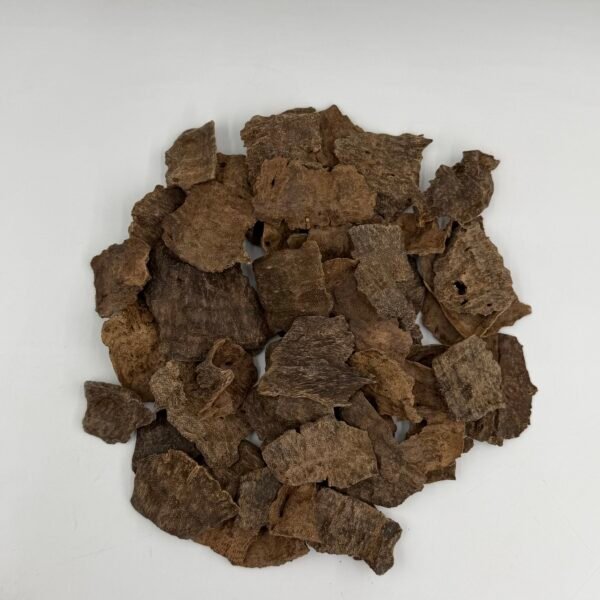 عود جار تيربورا