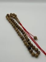 ⁦مسباح كهرمان سومطري⁩ - الصورة ⁦2⁩