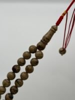 ⁦مسباح كهرمان سومطري⁩ - الصورة ⁦3⁩