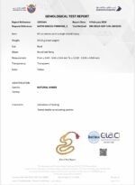 ⁦مسباح كهرمان حشري مع شهادة فحص من المختبر⁩ - الصورة ⁦2⁩