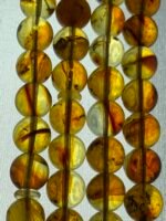 ⁦مسباح كهرمان حشري مع شهادة فحص من المختبر⁩ - الصورة ⁦5⁩